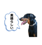 そらみスタンプ 40個セット 1（個別スタンプ：8）