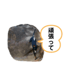 そらみスタンプ 40個セット 1（個別スタンプ：19）