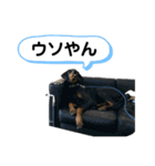 そらみスタンプ 40個セット 1（個別スタンプ：21）