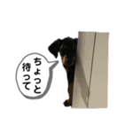そらみスタンプ 40個セット 1（個別スタンプ：28）
