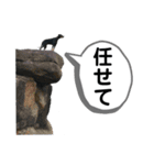 そらみスタンプ 40個セット 1（個別スタンプ：36）