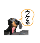 そらみスタンプ 40個セット 1（個別スタンプ：39）