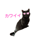 くー  と  ぽぽ 2（個別スタンプ：6）