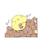ぴよ様の日常（個別スタンプ：1）