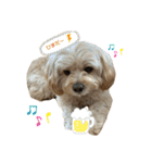 きんた、すたんぷ（個別スタンプ：4）
