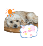 きんた、すたんぷ（個別スタンプ：9）