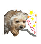 きんた、すたんぷ（個別スタンプ：19）