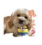 きんた、すたんぷ（個別スタンプ：26）
