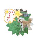 きんた、すたんぷ（個別スタンプ：30）