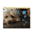きんた、すたんぷ（個別スタンプ：31）