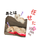 きんた、すたんぷ（個別スタンプ：32）