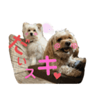 きんた、すたんぷ（個別スタンプ：33）
