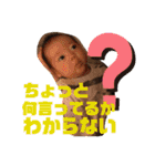 そたもちもちスタンプ（個別スタンプ：4）
