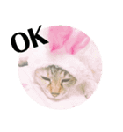 DaisyStyle（個別スタンプ：3）