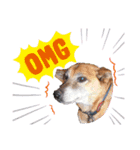 犬と猫の使いやすい敬語スタンプ（個別スタンプ：4）