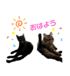 カイとアオ①（個別スタンプ：3）