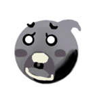 ピンポン球くん（個別スタンプ：5）