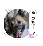 雑種犬ポット 2（個別スタンプ：4）