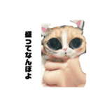 吾輩は猫だにゃー（個別スタンプ：7）