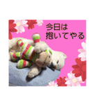 シアン日記.a（個別スタンプ：7）