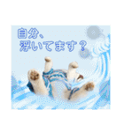 シアン日記.a（個別スタンプ：12）