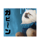 シアン日記.a（個別スタンプ：14）