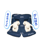 シアン日記.a（個別スタンプ：16）