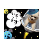 シアン日記.a（個別スタンプ：20）
