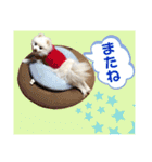 シアン日記.a（個別スタンプ：21）