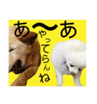 シアン日記.a（個別スタンプ：22）