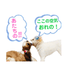 シアン日記.a（個別スタンプ：27）