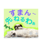 シアン日記.a（個別スタンプ：28）