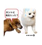 シアン日記.a（個別スタンプ：30）