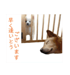シアン日記.a（個別スタンプ：33）