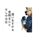 シアン日記.a（個別スタンプ：35）