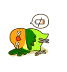 ボタンインコ ポンカン（個別スタンプ：1）