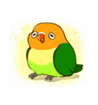 ボタンインコ ポンカン（個別スタンプ：3）