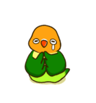 ボタンインコ ポンカン（個別スタンプ：5）