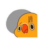 ボタンインコ ポンカン（個別スタンプ：15）