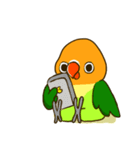 ボタンインコ ポンカン（個別スタンプ：21）