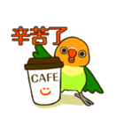 ボタンインコ ポンカン（個別スタンプ：23）
