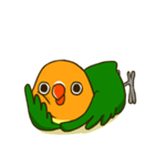 ボタンインコ ポンカン（個別スタンプ：25）