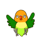 ボタンインコ ポンカン（個別スタンプ：31）