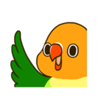 ボタンインコ ポンカン（個別スタンプ：33）
