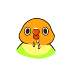 ボタンインコ ポンカン（個別スタンプ：34）