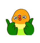 ボタンインコ ポンカン（個別スタンプ：36）