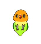 ボタンインコ ポンカン（個別スタンプ：38）