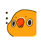 ボタンインコ ポンカン（個別スタンプ：39）