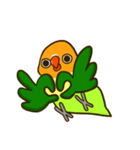 ボタンインコ ポンカン（個別スタンプ：40）