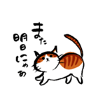猫が挨拶（個別スタンプ：5）